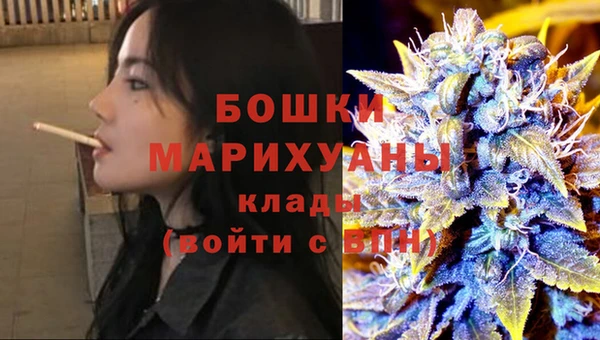 дживик Осташков